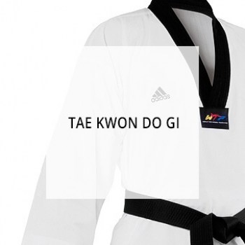 taekwondogi